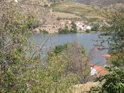 typical river view.